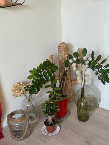 Studio A 15 Mn De Toulouse A Castelginest Eksteriør billede